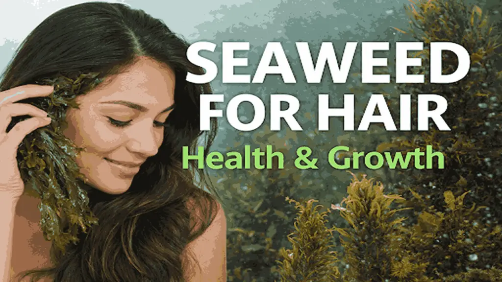 seaweed 